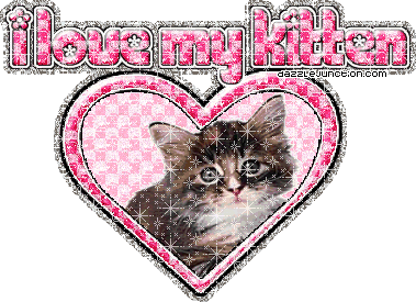 I love my kitten (Heart Text)